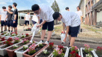 202606_花2