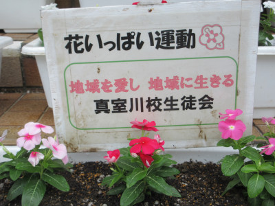 花いっぱい２