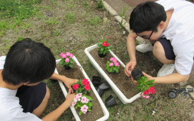 花いっぱい２(2)