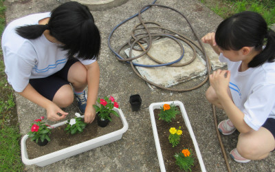 花いっぱい２(3)